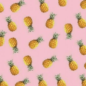 Meet your Posher, Dillon