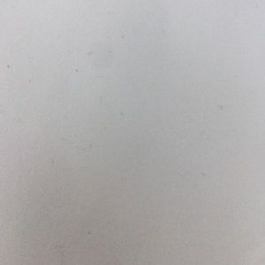 Meet your Posher, Brynn