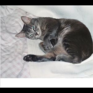 Meet your Posher, Maggie