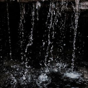 Meet your Posher, Shane