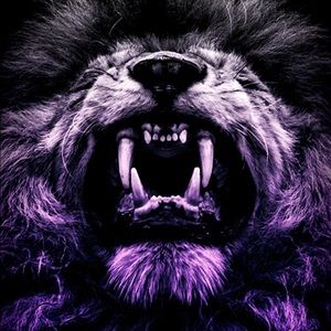 Meet your Posher, Dylan