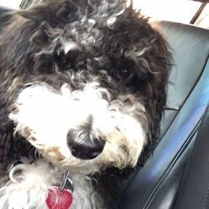 Meet your Posher, John