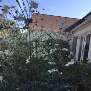 Meet your Posher, Natalia