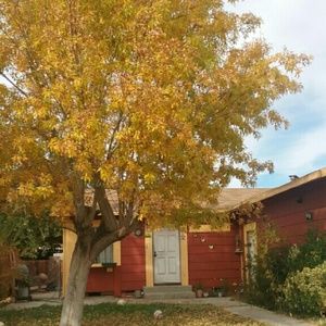 Meet your Posher, Araceli