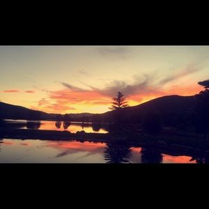 Meet your Posher, Landon