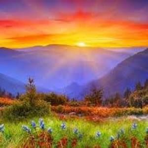 Meet your Posher, Flora