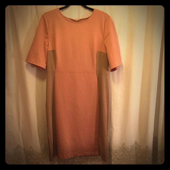Pink and taupe sheath dress
