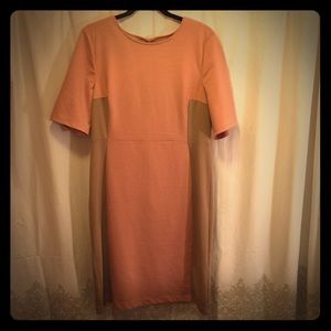 Pink and taupe sheath dress