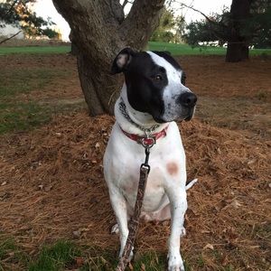 Meet your Posher, Kristen