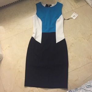 NWT Calvin Klein Dress