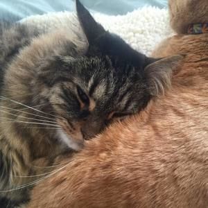 Meet your Posher, Dawn