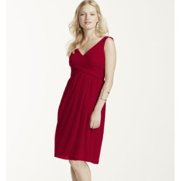 David's Bridal Short Mesh Dress with Cowl Back