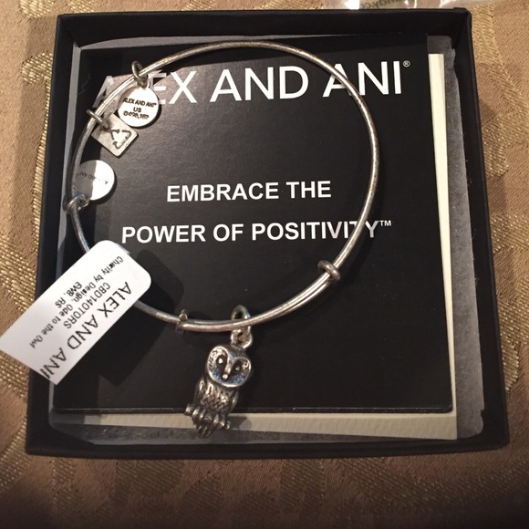 Alex and Ani Jewelry - NEVER USED Alex And Ani Owl Bracelet in Silver