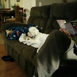 Meet your Posher, Molly