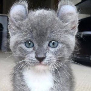 Meet your Posher, Mitchell