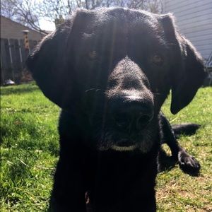 Meet your Posher, Lindsey