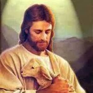 Meet your Posher, Edge