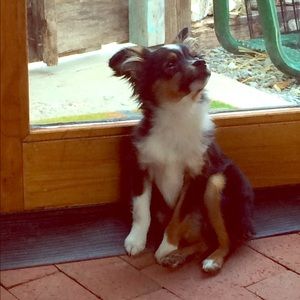 Hi im Max, my mom is Open to all offers or trades