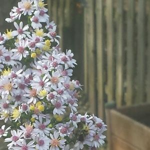 Meet your Posher, Jenny