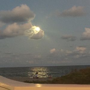 Meet your Posher, Amelia