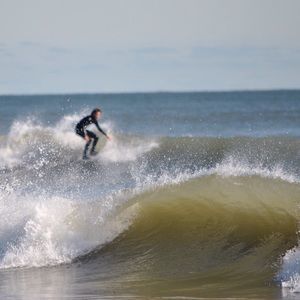 Meet your Posher, Harrison