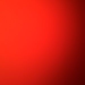 Meet your Posher, Brendan