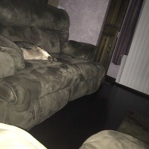 Meet your Posher, Annette