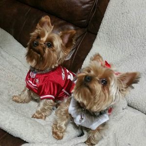 Meet your Posher, Gail