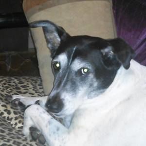 Meet your Posher, Carrie