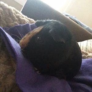 Meet your Posher, Ingrid