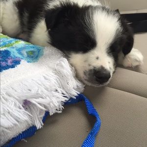 Meet your Posher, Kaylee