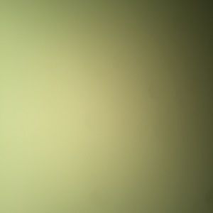 Meet your Posher, Connie