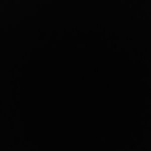 Meet your Posher, Ashanti