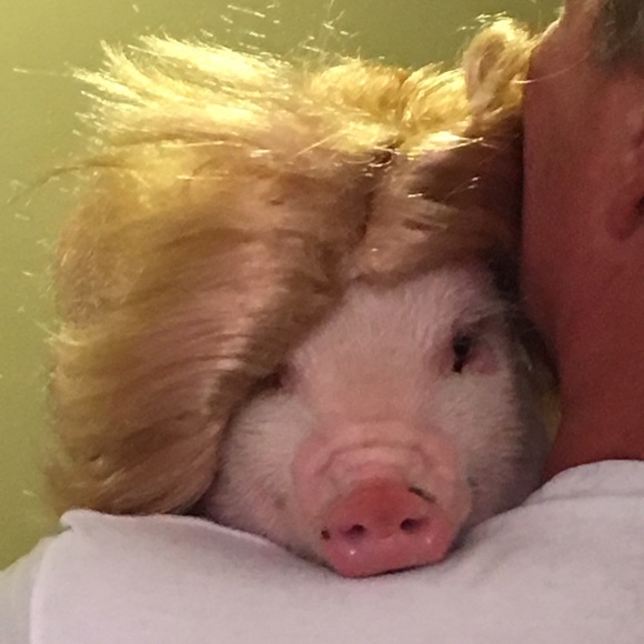 Meet your Posher, Nancy