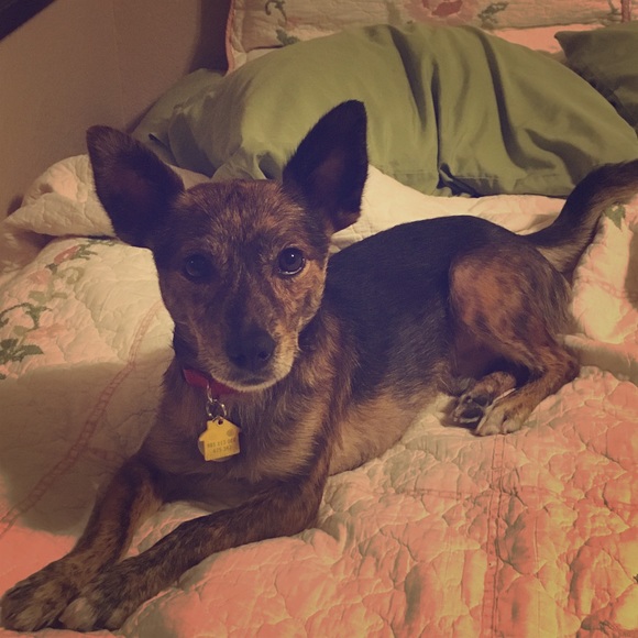 Meet your Posher, Jessica - Picture 1 of 1