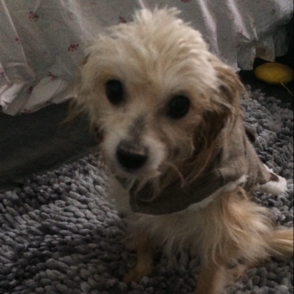 💞20% OFF ALL ITEMS, mention FLACO 💞 - Picture 3 of 4