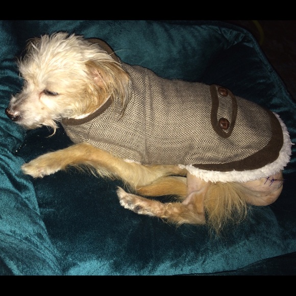 💞20% OFF ALL ITEMS, mention FLACO 💞 - Picture 4 of 4