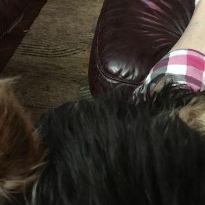 Meet your Posher, Dorothy