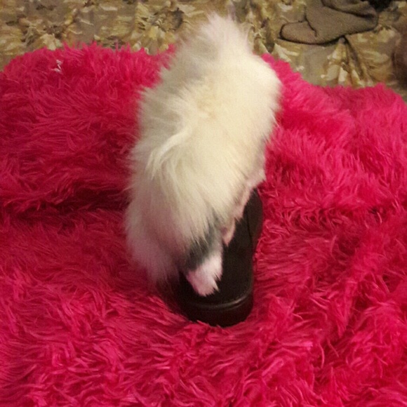 brand new snow boots - Picture 4 of 4