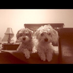 Meet your Posher, Erika