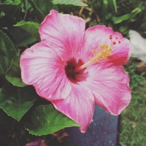 Meet your Posher, Karen