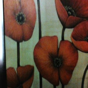 Meet your Posher, Wanda