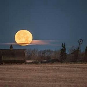 Meet your Posher, Ethel