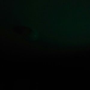 Meet your Posher, Cesar