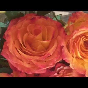 Meet your Posher, Terri