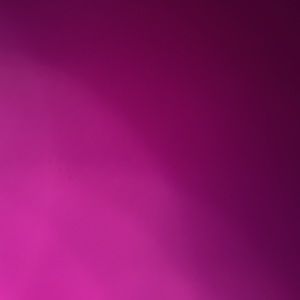 Meet your Posher, Chaneal