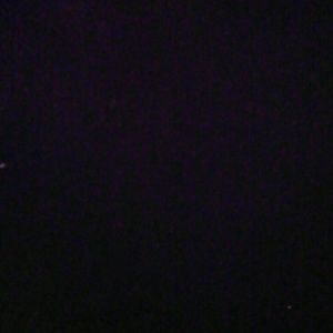 Meet your Posher, Gladys