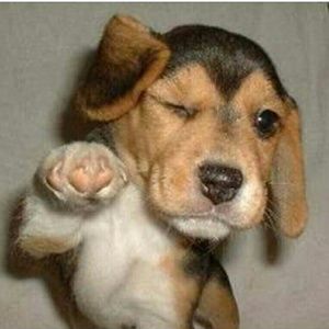 Meet your Posher, Tonya