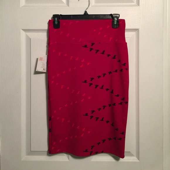 LuLaRoe Dresses & Skirts - Xs LuLaRoe Cassie Skirt