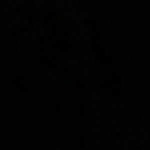 Meet your Posher, Nicholas